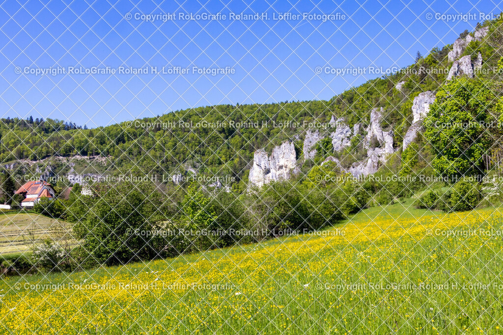 Im-Donautal-26 | IPTC Infos - Realisiert mit Pictrs.com