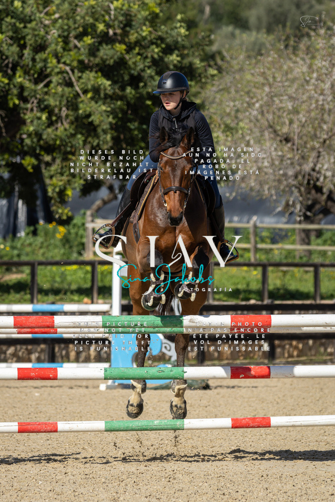 IMG_6797 | s-jay-photography - Realisiert mit Pictrs.com