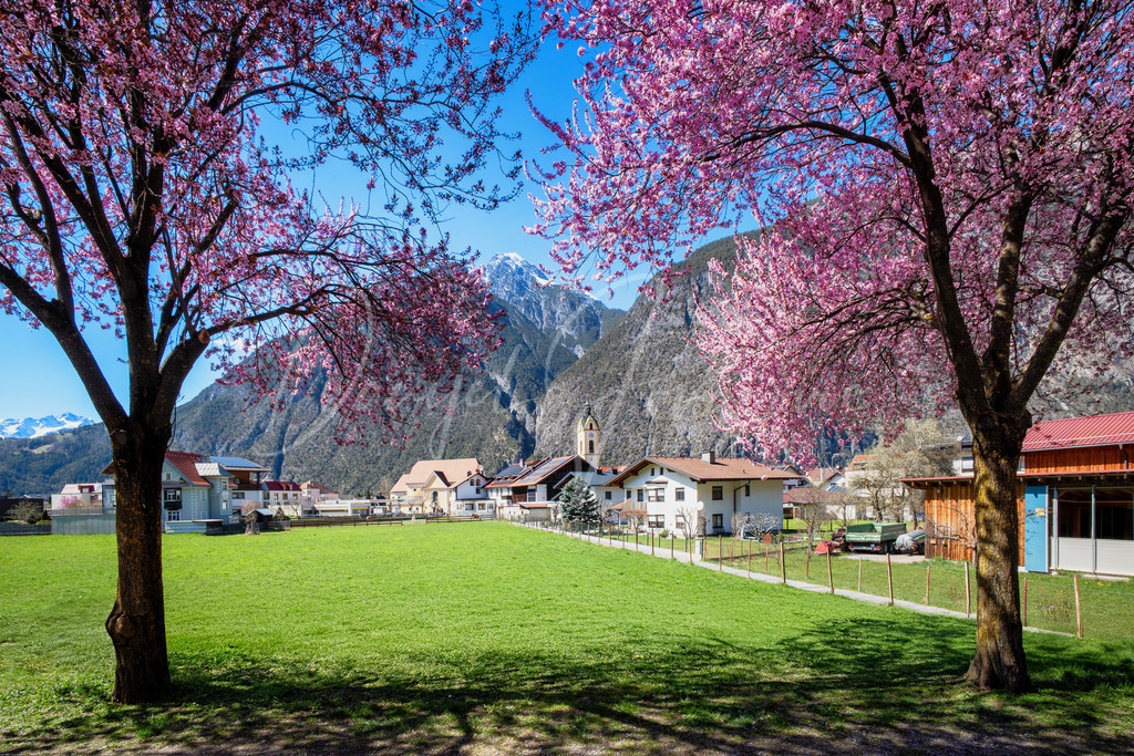 Zams | Blick auf Zams zur Blütezeit