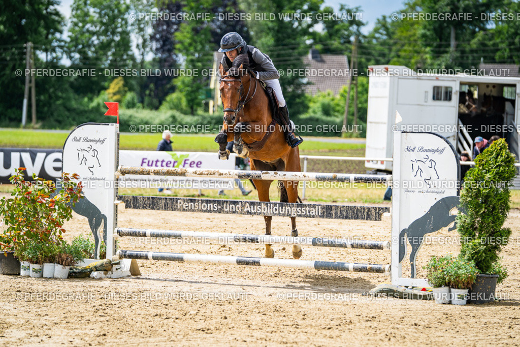 DSC04835 | Pferdegrafie