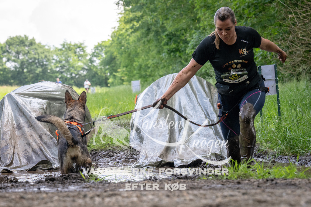 1147_ZZ94521 | kk-dogfotos