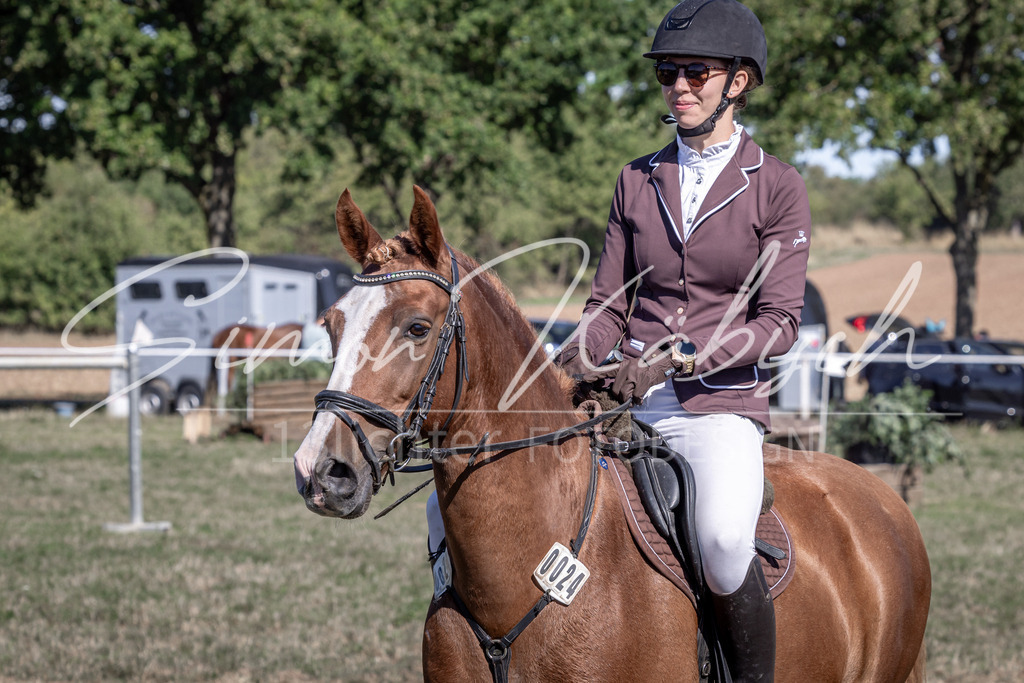 20260906-_3LI2630 | Tierfotografie Pferde, Hunde, Katzen, Haustiere.
Turnierfotografie Reitturniere, Reiten, Springreiten, Dressur in Hanau, dem Main-Kinzig-Kreis und dem Rhein-Main- Gebiet um Frankfurt