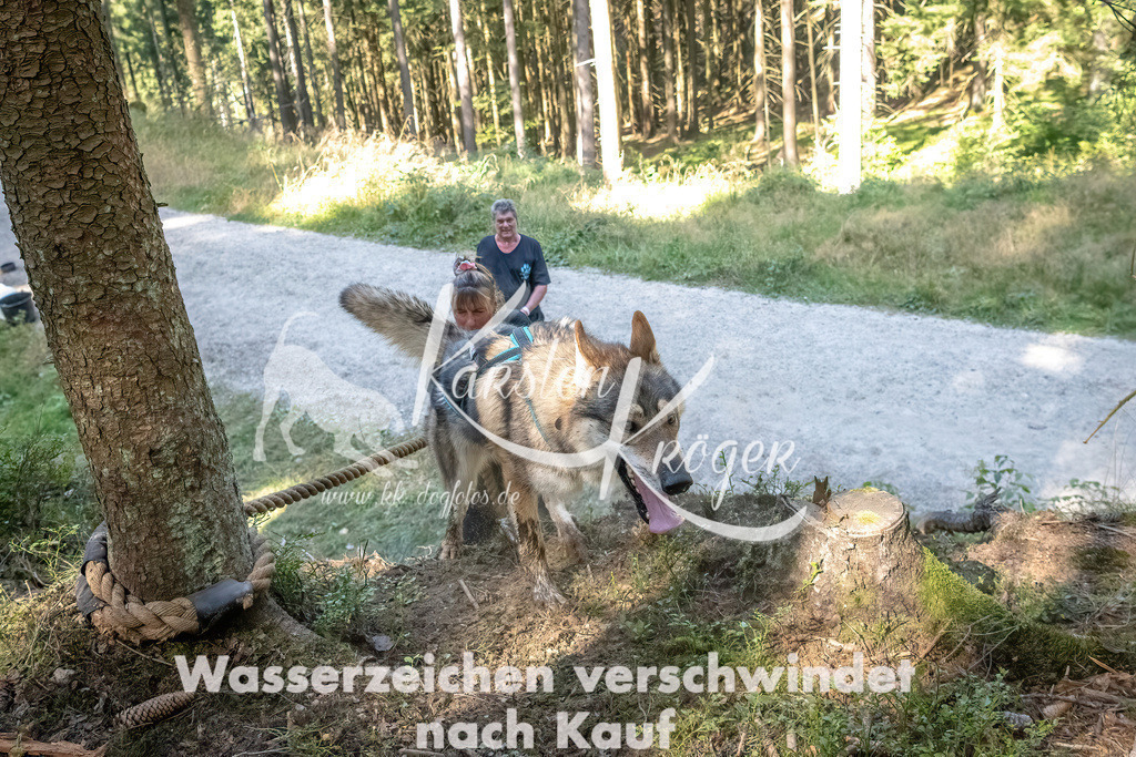 1138_ZZ91189 | kk-dogfotos