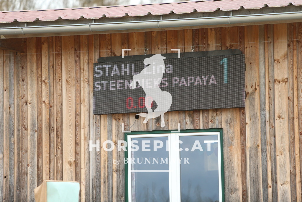 DL2Q1660 | Willkommen bei Brunnmayr - Design & Fotografie – Ihrem Spezialisten für Reitturniere und Pferdeveranstaltungen in Oberösterreich, Salzburg und Bayern! Seit über 17 Jahren sind wir leidenschaftlich dabei.