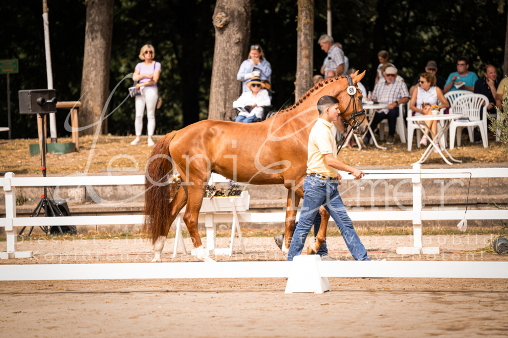 5.Fr00109 | Leoni Ertmer Photography - Realisiert mit Pictrs.com