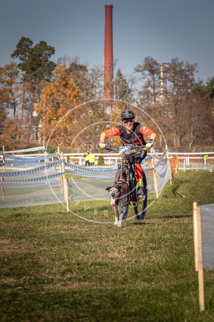 CaniXpix_0L8A6420 | Hundefotografie, Tierfotograf, Pfotenfotografie, Fotoshooting Hund, Hunde Portrait, Hundesport, Hundeportraits, Heideshooting, Hunde, Sportfotograf, Hundefotograf, Turnierhundsport, THS,  - Realisiert mit Pictrs.com