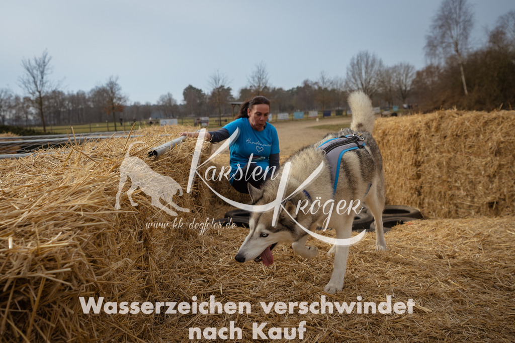 1134_ZZ94682 | kk-dogfotos