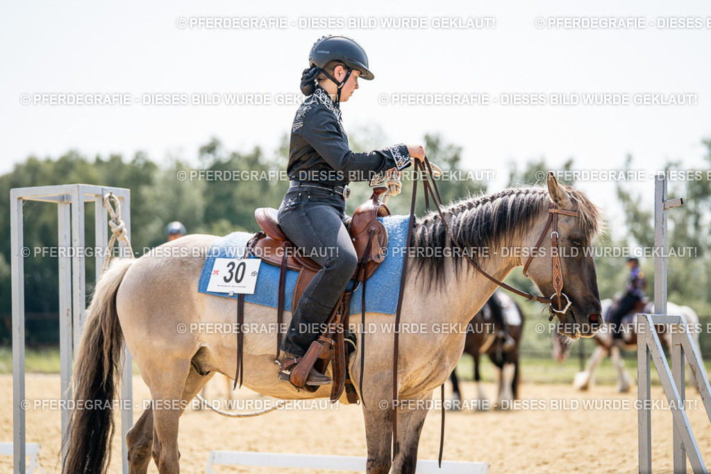 DSC09960 | Pferdegrafie