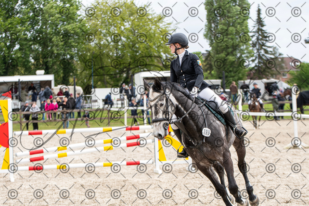 KPT_8940 | andre_photographic