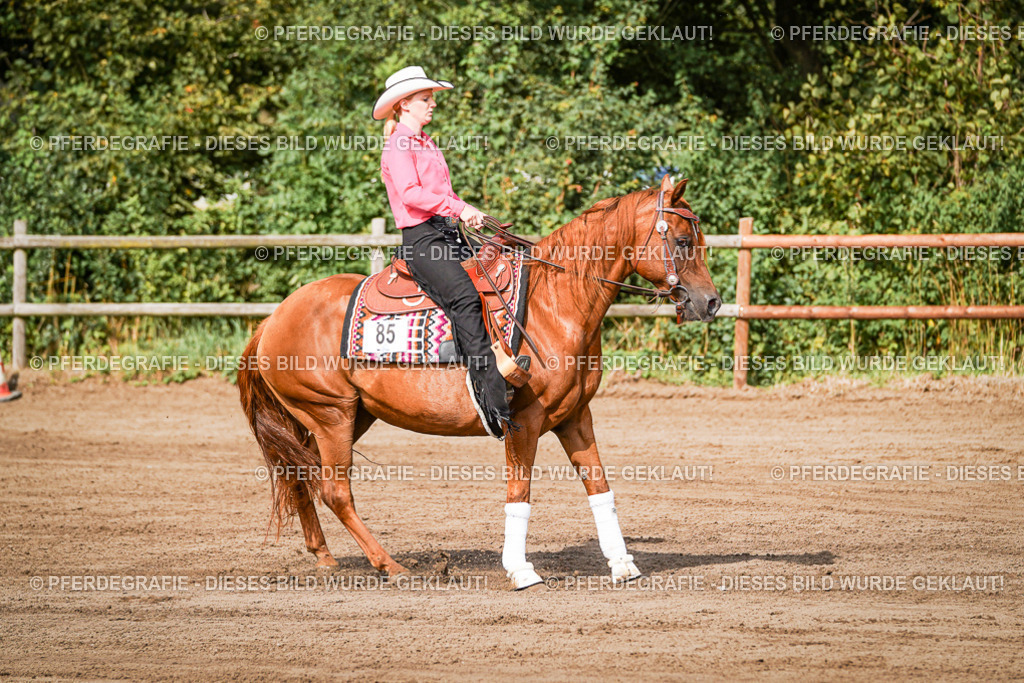 DSC09467 | Pferdegrafie