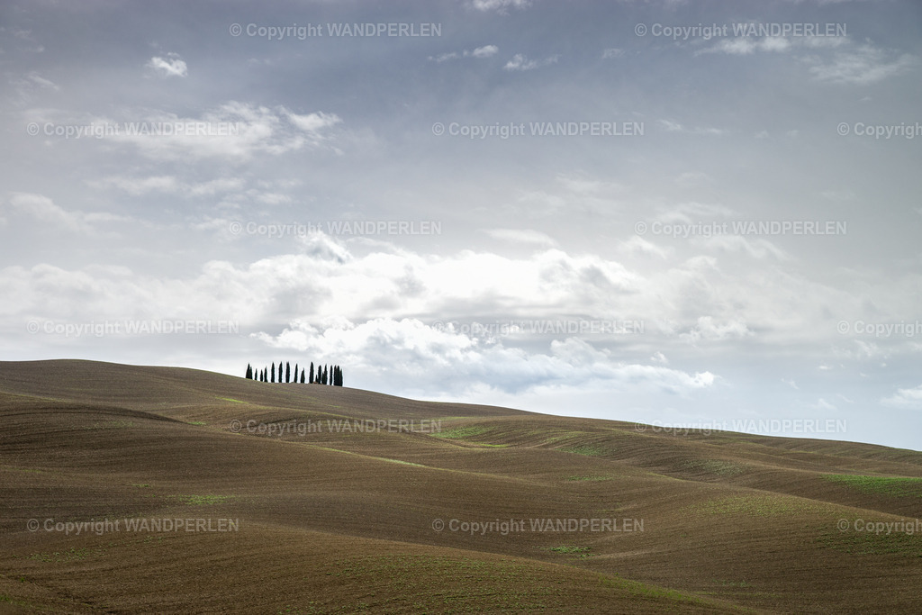 Hügelmeer in der Toskana / Rolling Hills in Tuscany | Leere Felder in der Toskana – eine Reihe von Zypressen steht einsam vor den weiten, sanft geschwungenen Hügeln und einem Himmel voller sanfter Wolken. Die Landschaft strahlt Ruhe und zeitlose Schönheit aus. - Realisiert mit Pictrs.com