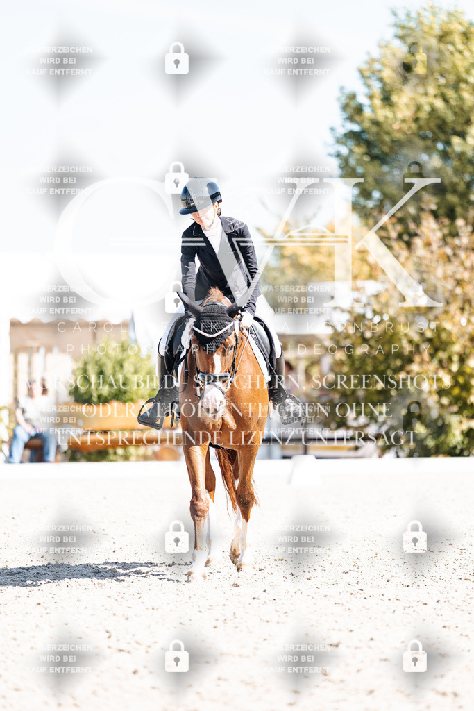 CK904120 | Turnierfotografie Pferdefotografie Trier Rheinland-Pfalz Pferdesport Reitsport Tierfotografie Sportfotografie Pferdevideo Pferdevideografie Equestrianvideography equestrianphotography  - Realisiert mit Pictrs.com