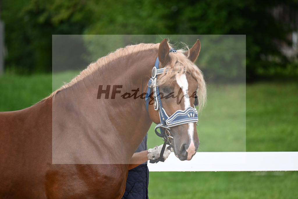 Rivaldo_27140180 | hf-fotografie - Realisiert mit Pictrs.com