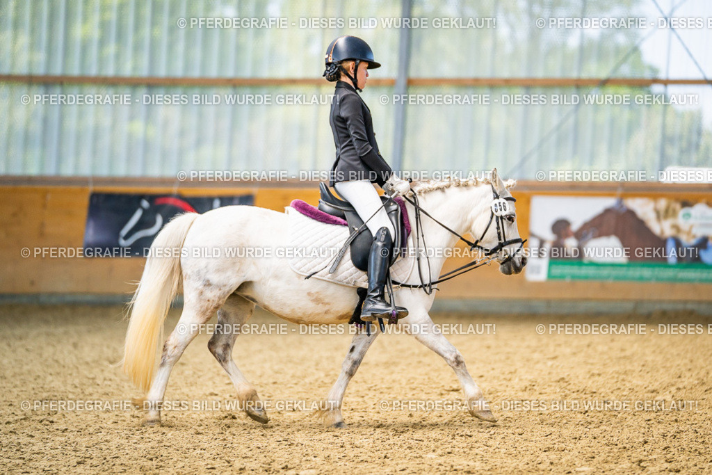 DSC03199 | Pferdegrafie