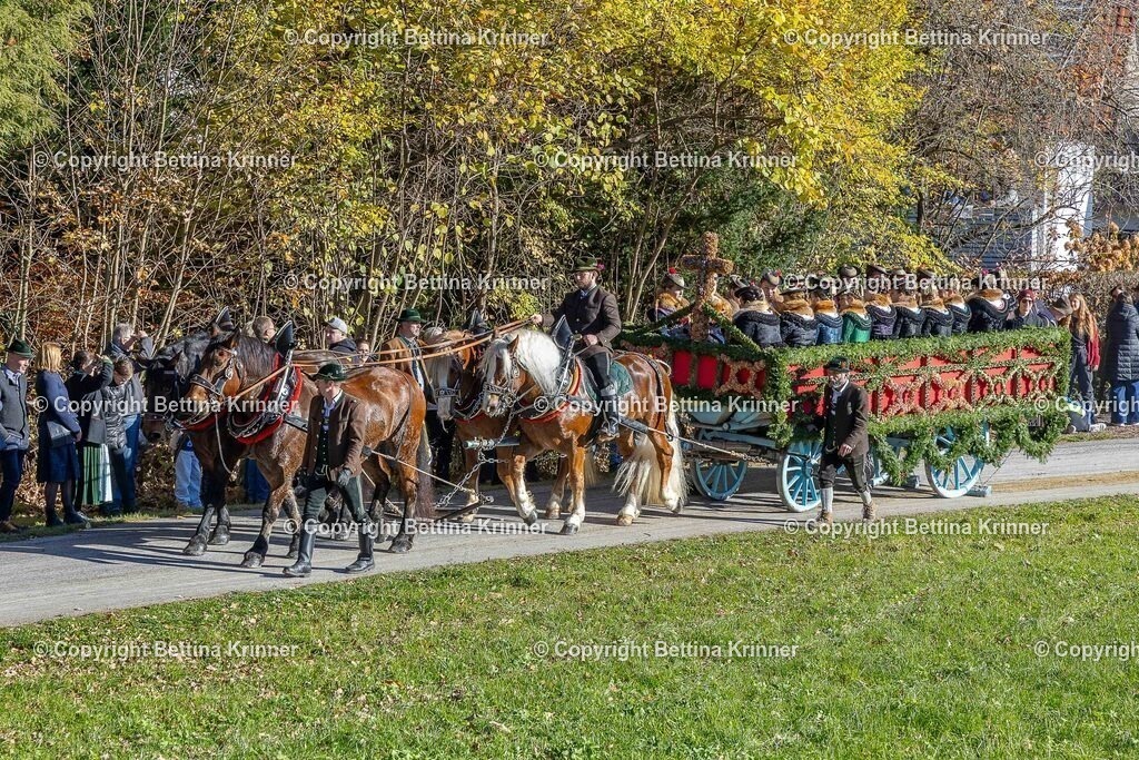 LBT25-646 | foto-bettina-krinner - Realisiert mit Pictrs.com