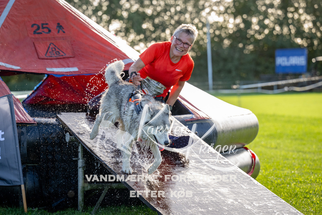 1101-91757 | kk-dogfotos