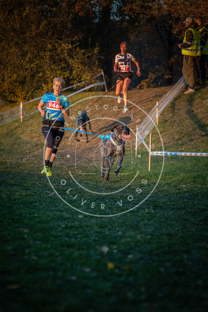 CaniXpix_0L8A1979 | Hundefotografie, Tierfotograf, Pfotenfotografie, Fotoshooting Hund, Hunde Portrait, Hundesport, Hundeportraits, Heideshooting, Hunde, Sportfotograf, Hundefotograf, Turnierhundsport, THS,  - Realisiert mit Pictrs.com