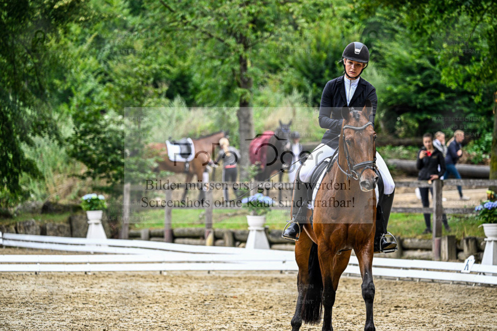 Bissendorfer Reitertage | Entdecke hochwertige Reitturnierfotos von Foto Oger. Professionell, emotional und authentisch – jetzt Lieblingsmomente im Shop bestellen. - Realisiert mit Pictrs.com