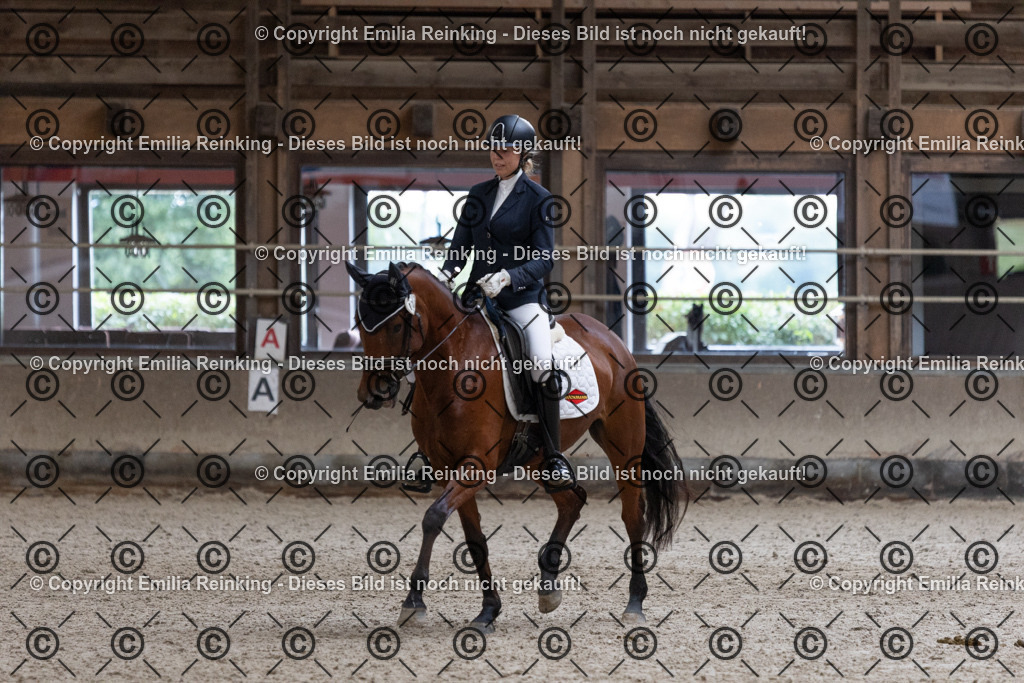 CL5A1063 | Emilia Reinking Fotografie - Realisiert mit Pictrs.com