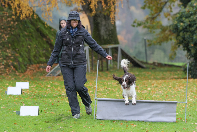 2025_Rally_Obedience_SM-56 | Ich fotografiere Hundeausstellungen, Sportanlässe, Zuchtstätten, Hundezucht, Hundeportrait, Lagotto - Realisiert mit Pictrs.com