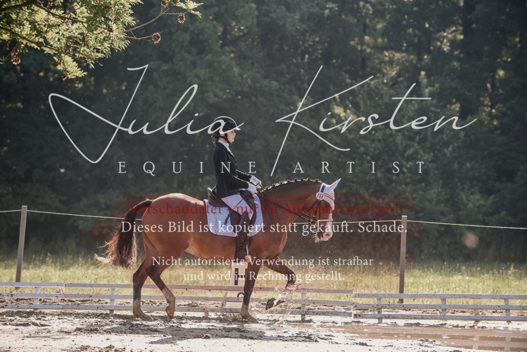 DSC_7852 | Pferde- und Turnierfotografie in Westsachsen. Pferdeportraits, Auftragszeichnungen und intuitive Kunst.