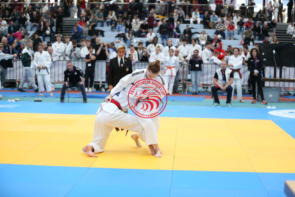 AT3Y0373 | Fotos vom Adler Cup - Pictures from Adler Cup

Hier findet Ihr alle Eindrücke und großen Momente der Adler Cup Wochenenden. Here you will find all impressions and great moments of the Adler Cup weekends. - Realisiert mit Pictrs.com