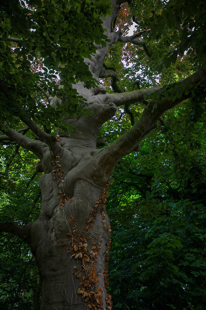 VillerMuehle_09062025_172 | Bildergalerie von Sport-Ereignissen aber auch von weiteren spannenden Dingen - nicht nur vom Niederrhein. In Anlehnung an den bekannten Spruch von Hanns Dieter Hüsch heißt das Motto: "Niederrhein ist überall".  - Realisiert mit Pictrs.com