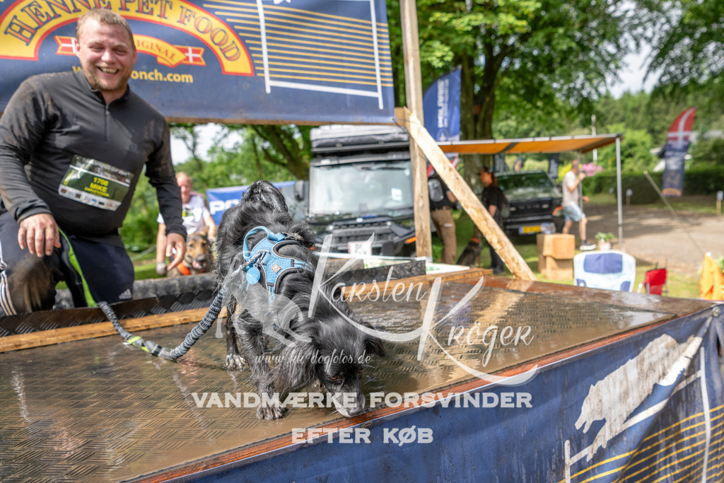 1037_ZZ91552 | kk-dogfotos