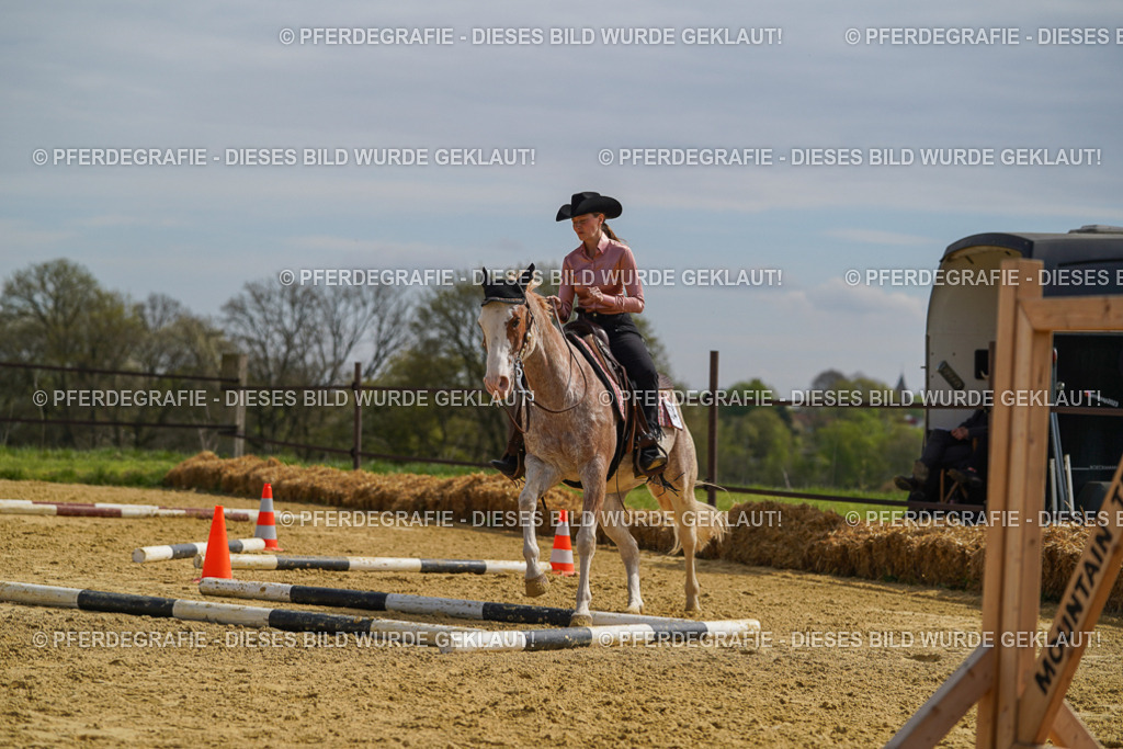 DSC04130 | Pferdegrafie