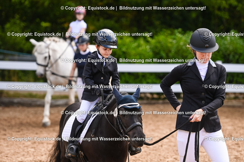 20230716_11_Führzügel-WB_0223 | equistock