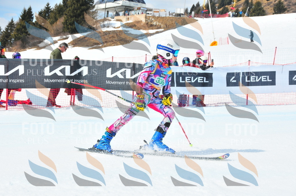 DSC_3079 | holidayphoto