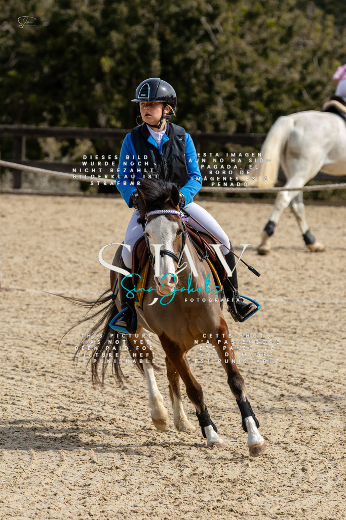 IMG_3297 | s-jay-photography - Realisiert mit Pictrs.com