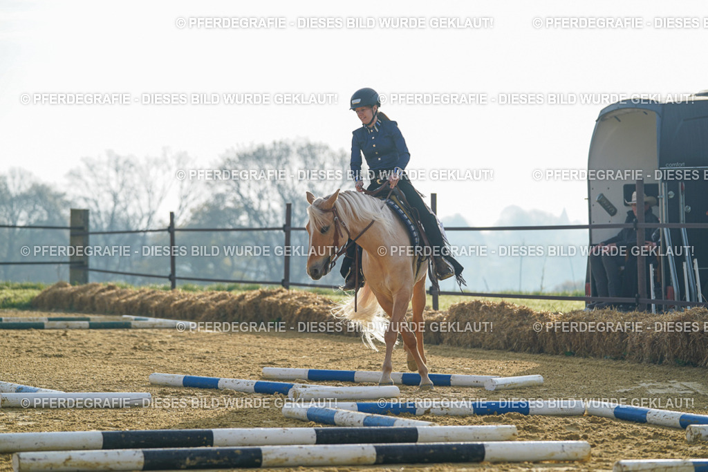 DSC09974 | Pferdegrafie