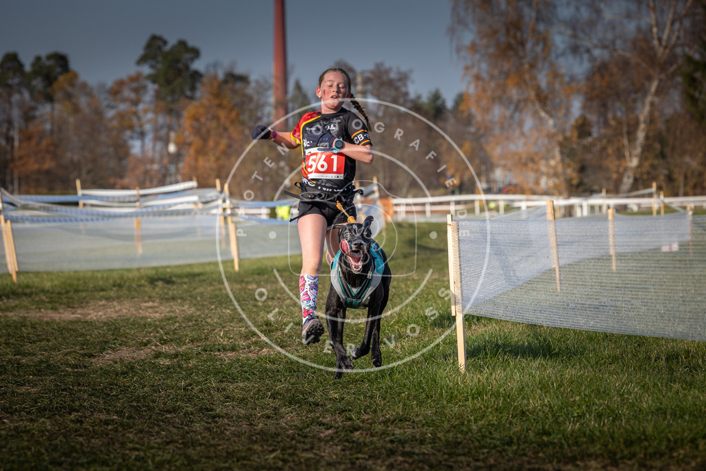 CaniXpix_0L8A9220 | Hundefotografie, Tierfotograf, Pfotenfotografie, Fotoshooting Hund, Hunde Portrait, Hundesport, Hundeportraits, Heideshooting, Hunde, Sportfotograf, Hundefotograf, Turnierhundsport, THS,  - Realisiert mit Pictrs.com