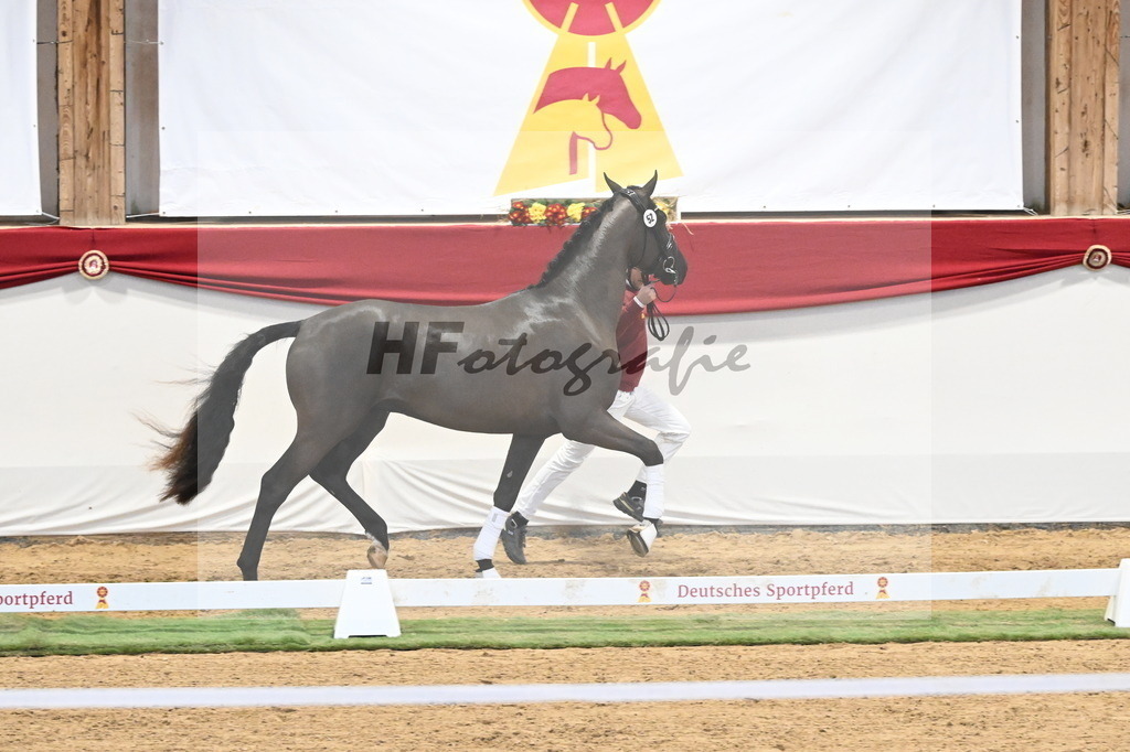 Kat.-Nr. 52 v. Fanegro_Schulze Averdiek_3260311 | hf-fotografie - Realisiert mit Pictrs.com
