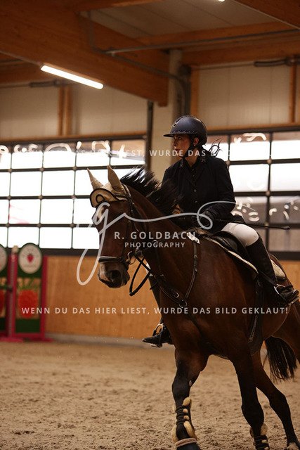 1J2A3576Tosca von Thünen_ Compadre 10_ Kn512_ Hohen Wieschendorf_ Glantz | Foto- und Videografie für alles rund ums Pferd. Hochwertige Bilder und Videos vom Spring- und Dressurreiten, Voltigieren & mehr. Jetzt aktuelle Veranstaltungen und Preise im Shop ansehen. - Realisiert mit Pictrs.com