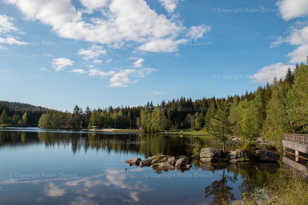 20200512-Fichtelsee-(C)RobinZinnert-IMG_0640 | Robin Zinnert - Realisiert mit Pictrs.com