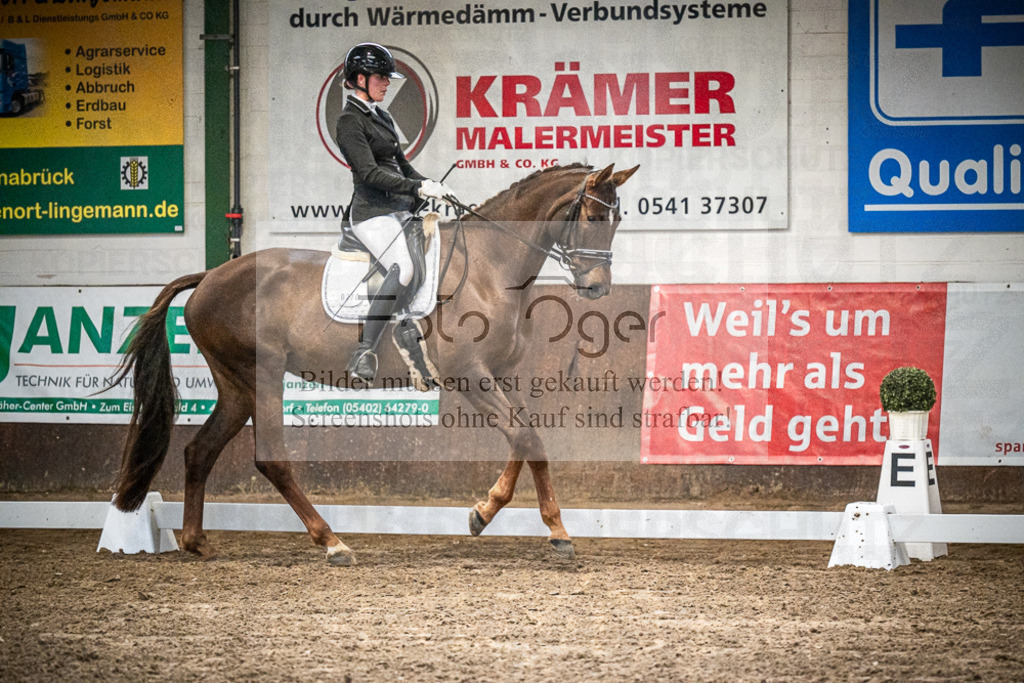 DOS_1229 | Entdecke hochwertige Reitturnierfotos von Foto Oger. Professionell, emotional und authentisch – jetzt Lieblingsmomente im Shop bestellen.Deutschlandweite Turnierfotografie. - Realisiert mit Pictrs.com