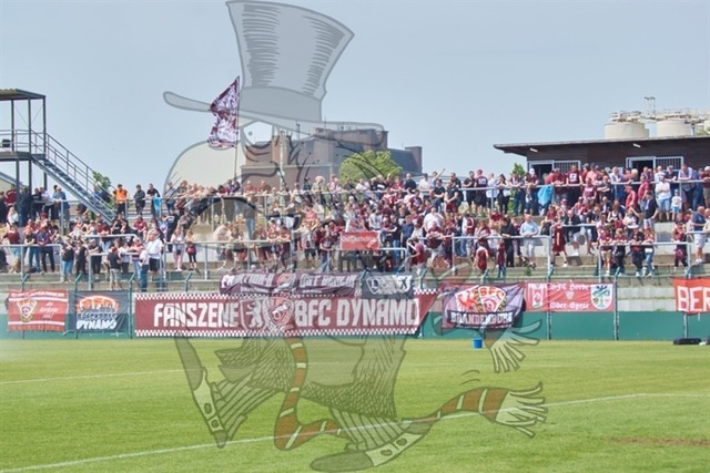 BFC Dynamo vs. FSV 63 Luckenwalde 010 | mythos-online-redaktion