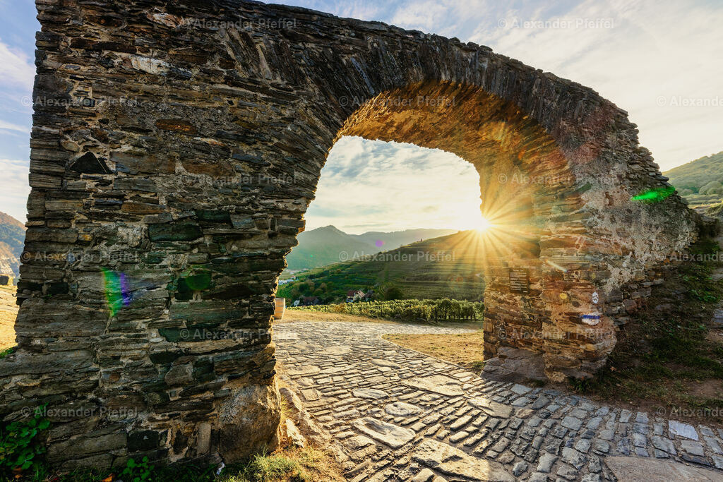 foto_c_pfeffel-partner-0092-R51_0261-HDR-Bearbeitet | alexander-pfeffel - Realisiert mit Pictrs.com