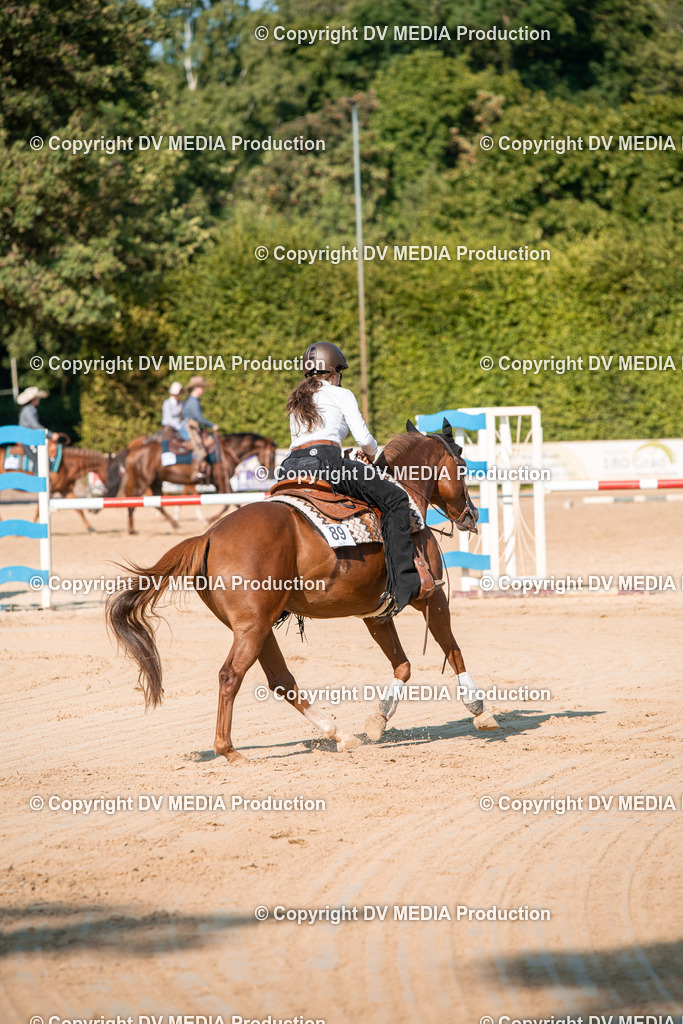 ZS2_8826 | dv-media-shop - Realisiert mit Pictrs.com