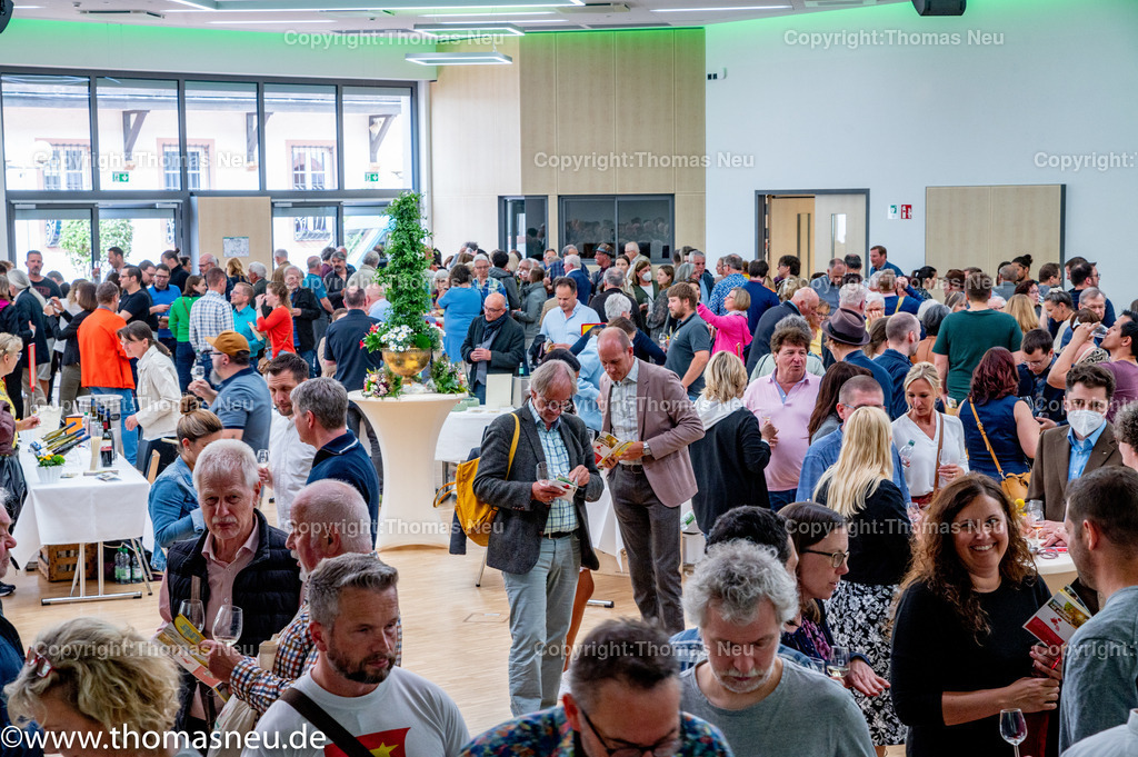 DSC_8188 | Der Bergsträßer Weintreff ist traditionell die Auftaktveranstaltung für den Bergsträßer Weinfrühling. Alljährlich April  bietet der Weintreff im Bürgerhaus Bensheim die einmalige Gelegenheit, fast 170 Bergsträßer Weine, Seccos und Sekte von 19 Weinbaubetrieben an einem Ort zu probieren. Nahezu alle Bergsträßer Betriebe sind vertreten und bieten ihre Spezialitäten an. Bild: Thomas Neu