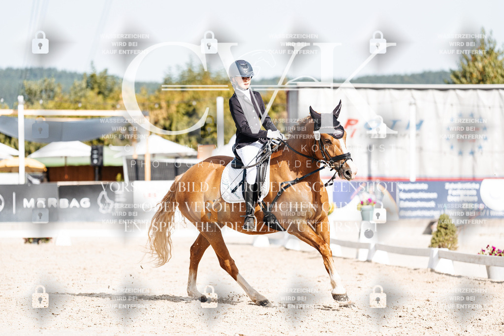 CK905382 | Turnierfotografie Pferdefotografie Trier Rheinland-Pfalz Pferdesport Reitsport Tierfotografie Sportfotografie Pferdevideo Pferdevideografie Equestrianvideography equestrianphotography  - Realisiert mit Pictrs.com