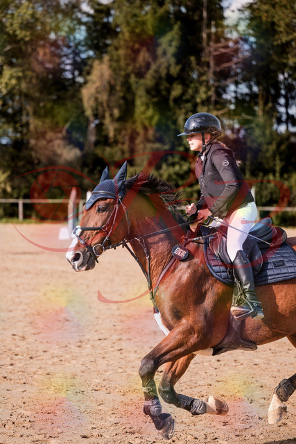 2026_10_03_Siefer-Hof_154716_Z81_66780744 | Professionelle Reitsport-, Turnier- und Eventfotografie von Robert Broda. Galerien mit ausgewählten und bearbeiteten Bildern direkt online ansehen und bestellen.
