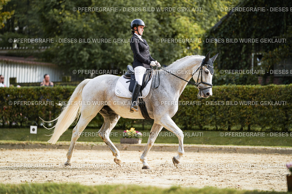 DSC04230 | Pferdegrafie