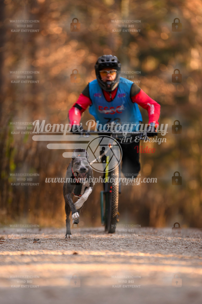MompixPhotography_DM_AKDM_SO_2025_Scooter-128 | PayLife