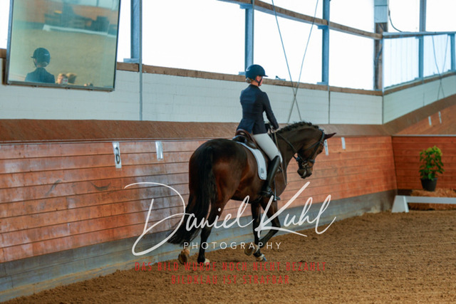 _62_6425 | Turniersportfotografie; Pferdefotografie; Dressurfotografie