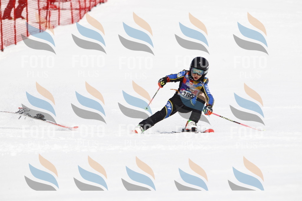 _U3G4882 | holidayphoto