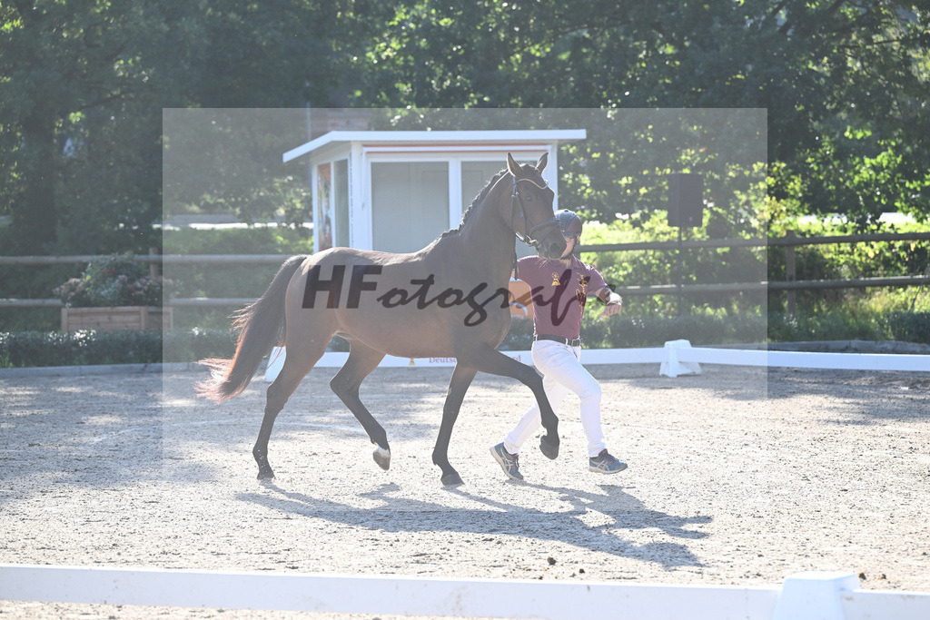Kat-Nr. 8 Bahama Mama_ZG Sautter_36230589 | hf-fotografie - Realisiert mit Pictrs.com
