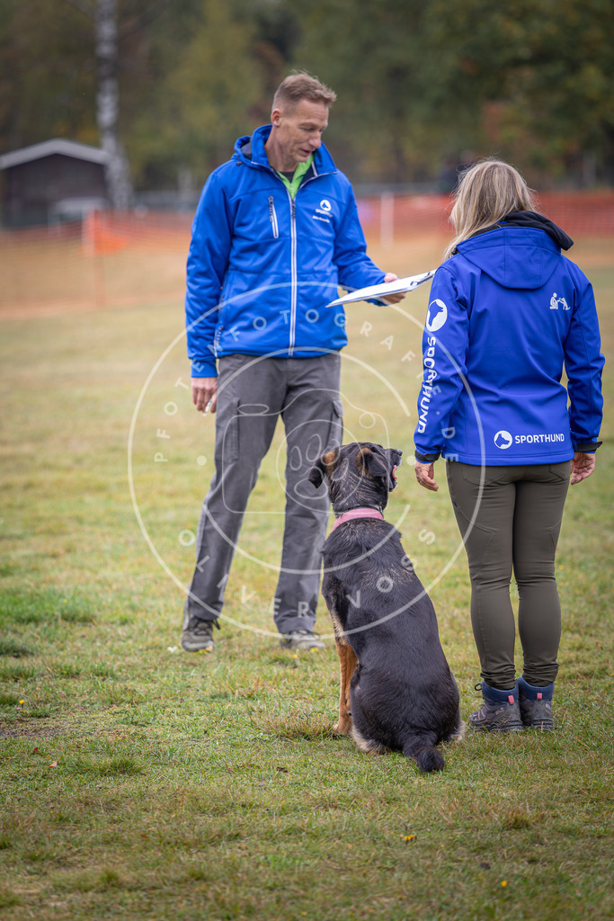 Pfotenfotografie_DV3A9560 | Hundefotografie, Tierfotograf, Pfotenfotografie, Fotoshooting Hund, Hunde Portrait, Hundesport, Hundeportraits, Heideshooting, Hunde, Sportfotograf, Hundefotograf, Turnierhundsport, THS,  - Realisiert mit Pictrs.com